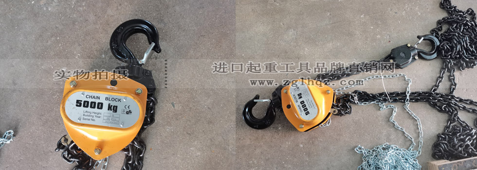 成功定制5噸10米手拉葫蘆