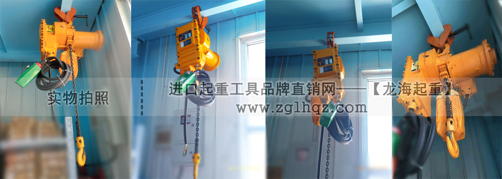 龍升防爆環(huán)鏈電動葫蘆工程案例圖